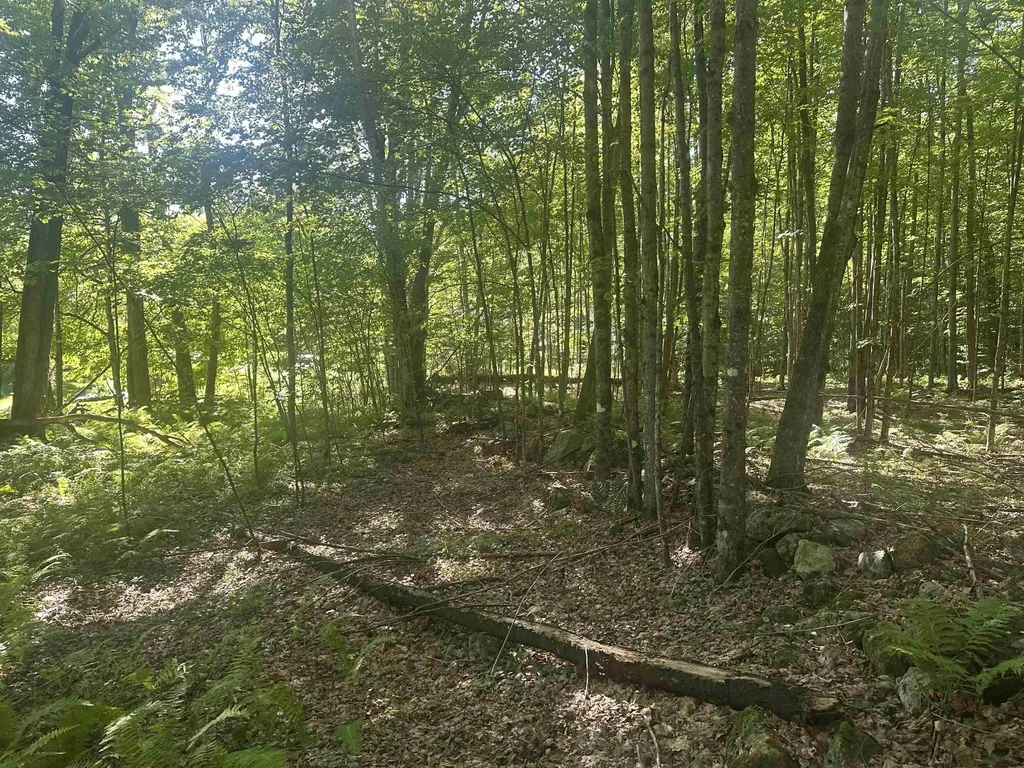 0 Helvi Hill Mendon VT 05701