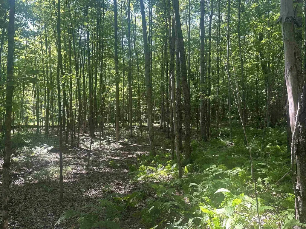 0 Helvi Hill Mendon VT 05701