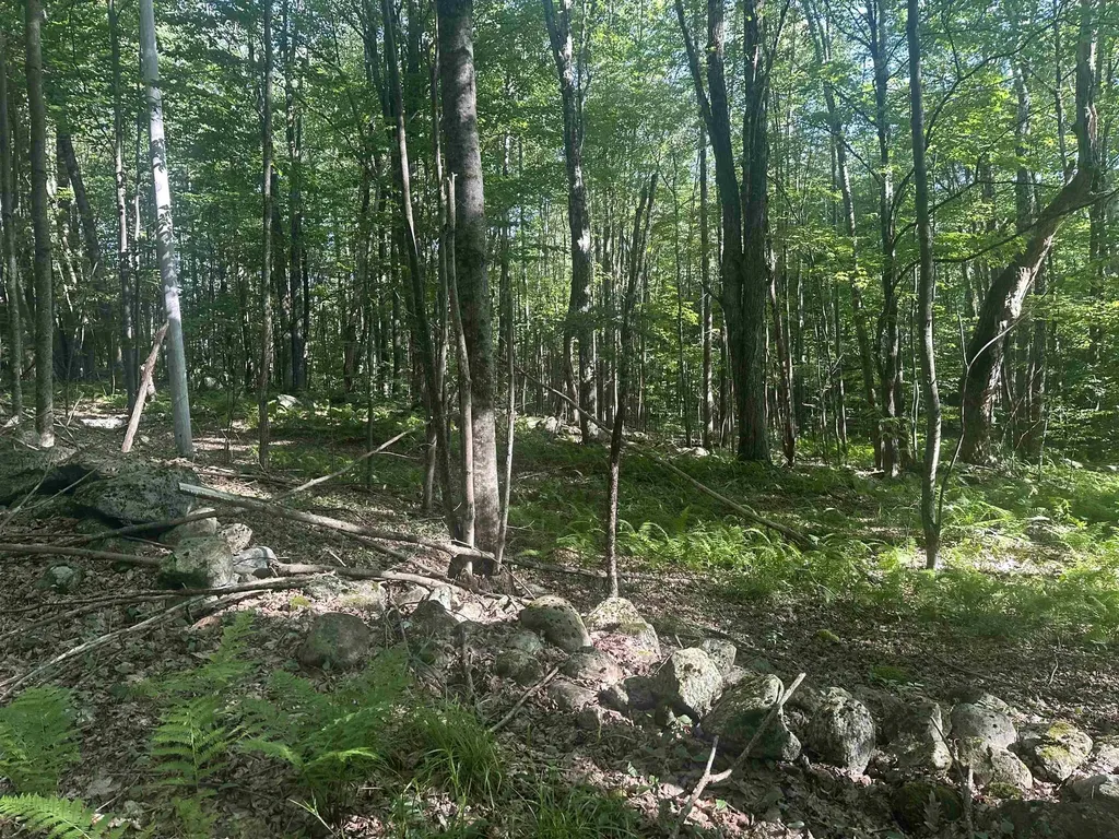 0 Helvi Hill Mendon VT 05701