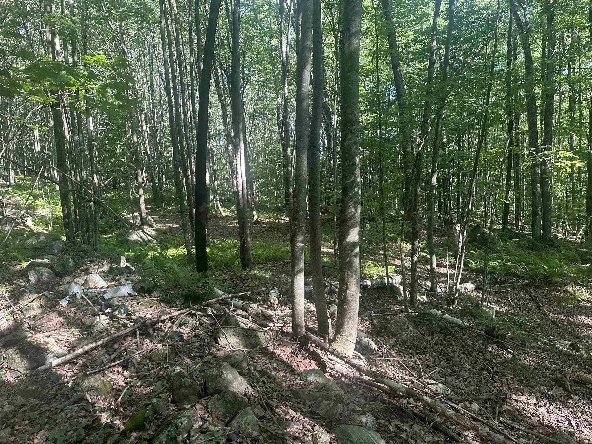 0 Helvi Hill Mendon VT 05701