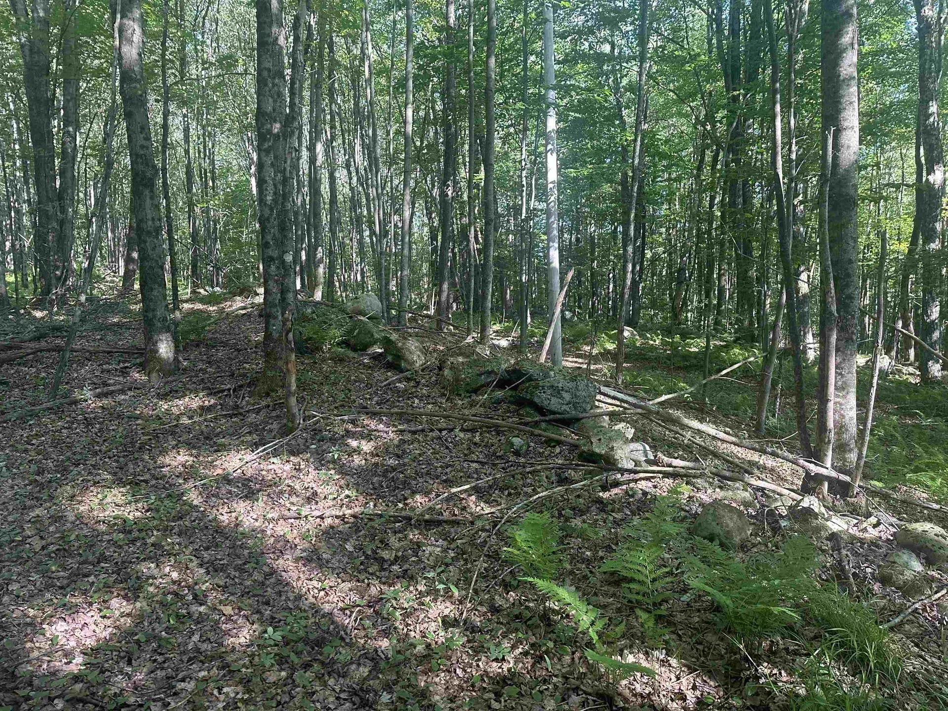 0 Helvi Hill Mendon VT 05701