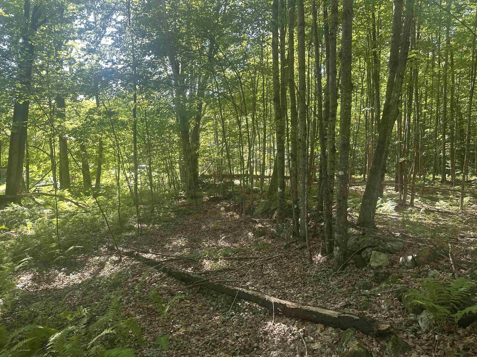 0 Helvi Hill Mendon VT 05701