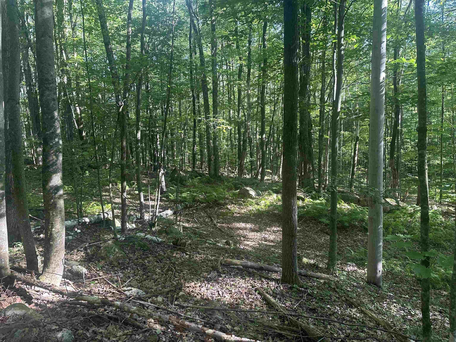 0 Helvi Hill Mendon VT 05701