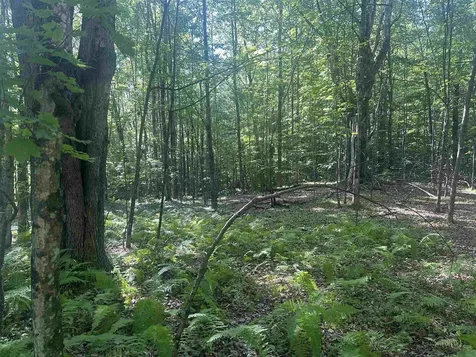 0 Helvi Hill Mendon VT 05701