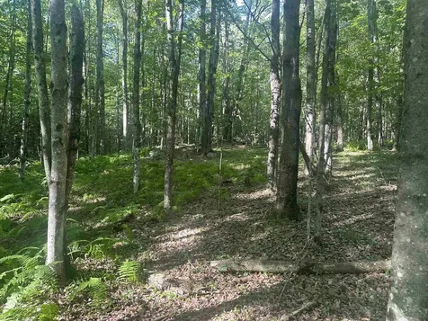 0 Helvi Hill Mendon VT 05701