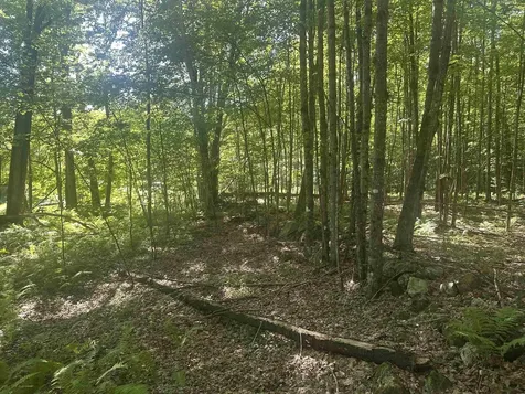 0 Helvi Hill Mendon VT 05701