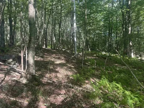 0 Helvi Hill Mendon VT 05701