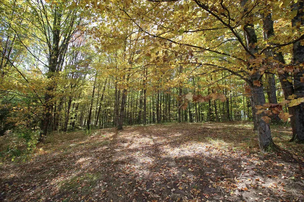 1643 Hammond Hill Road West Windsor VT 05089