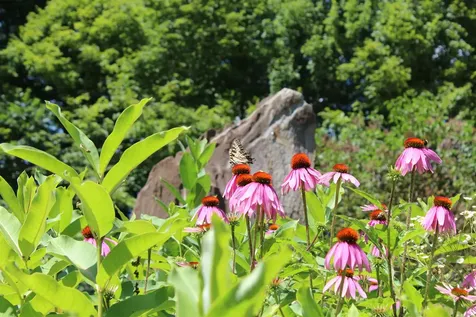 1643 Hammond Hill Road West Windsor VT 05089