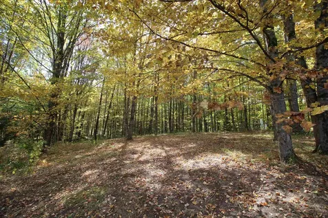 1643 Hammond Hill Road West Windsor VT 05089