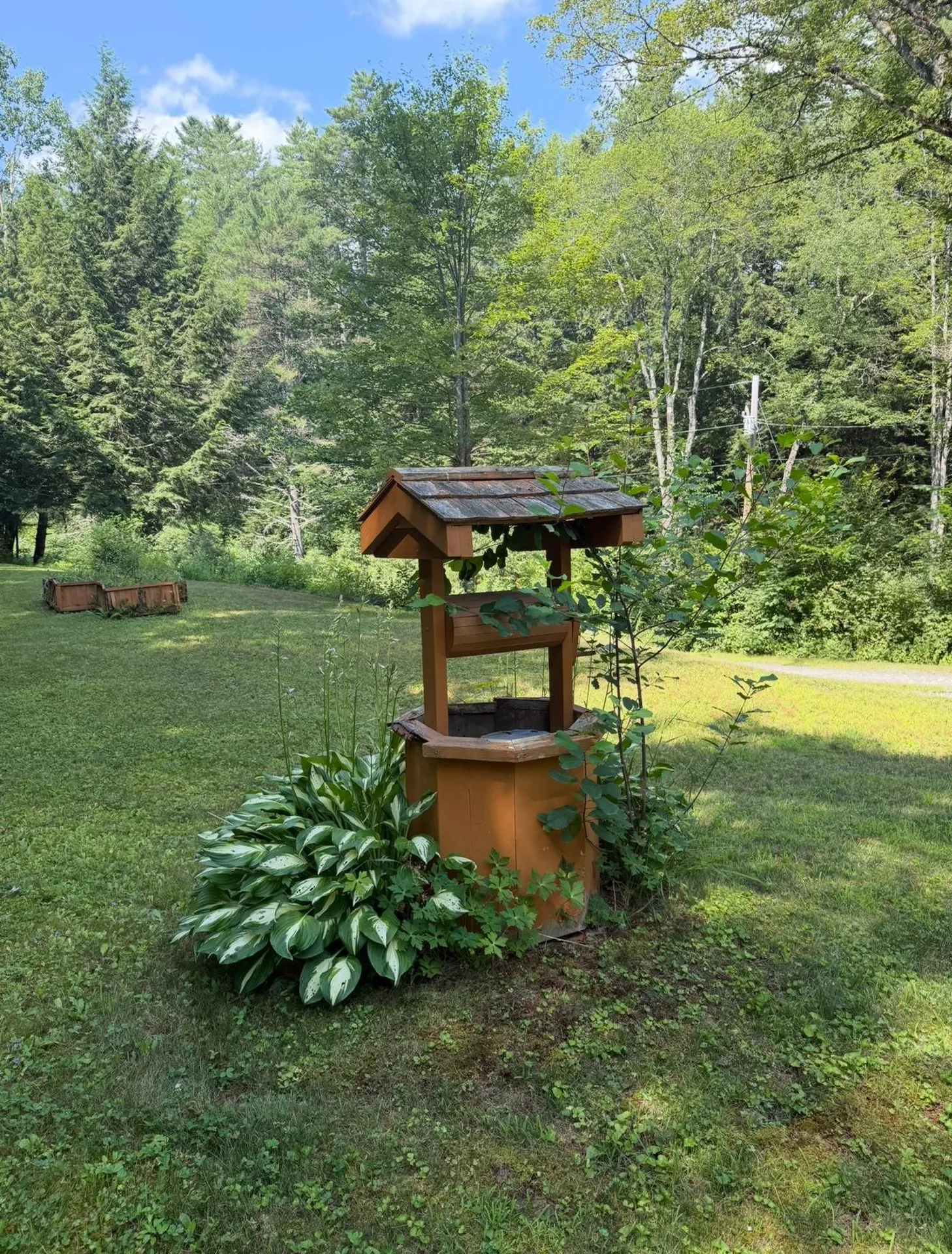 1528 Eastman Road Grafton VT 05146