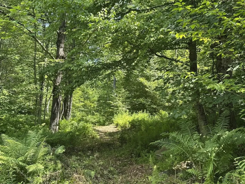 00 Vermont Route 103 Chester VT 05143