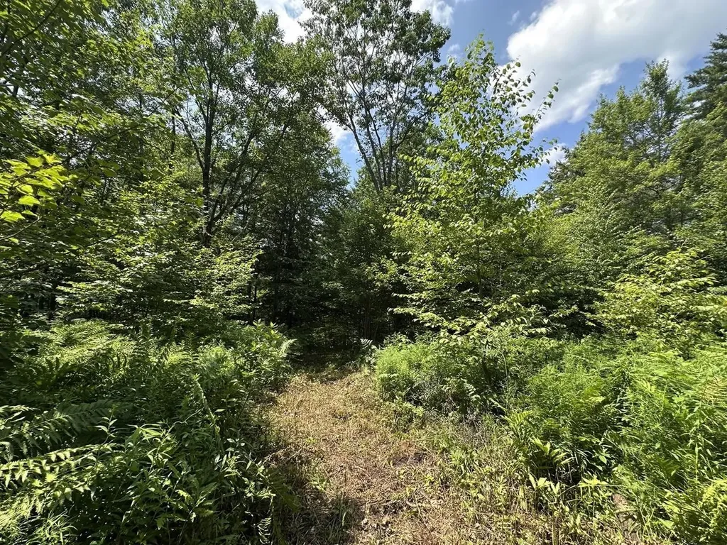 00 Vermont Route 103 Chester VT 05143