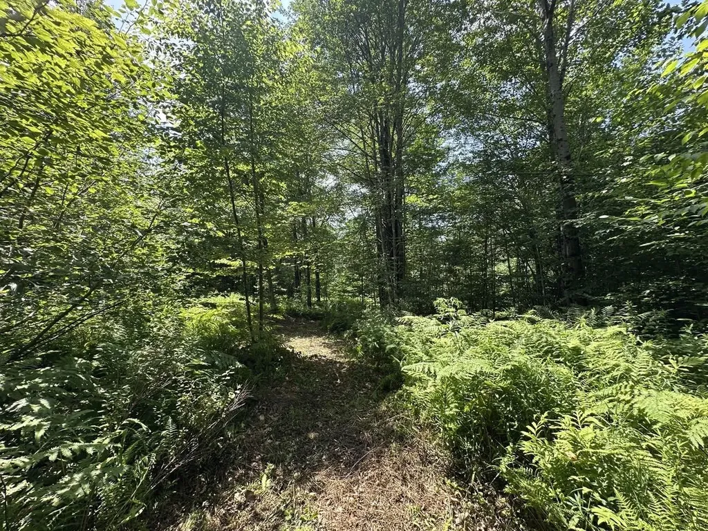 00 Vermont Route 103 Chester VT 05143