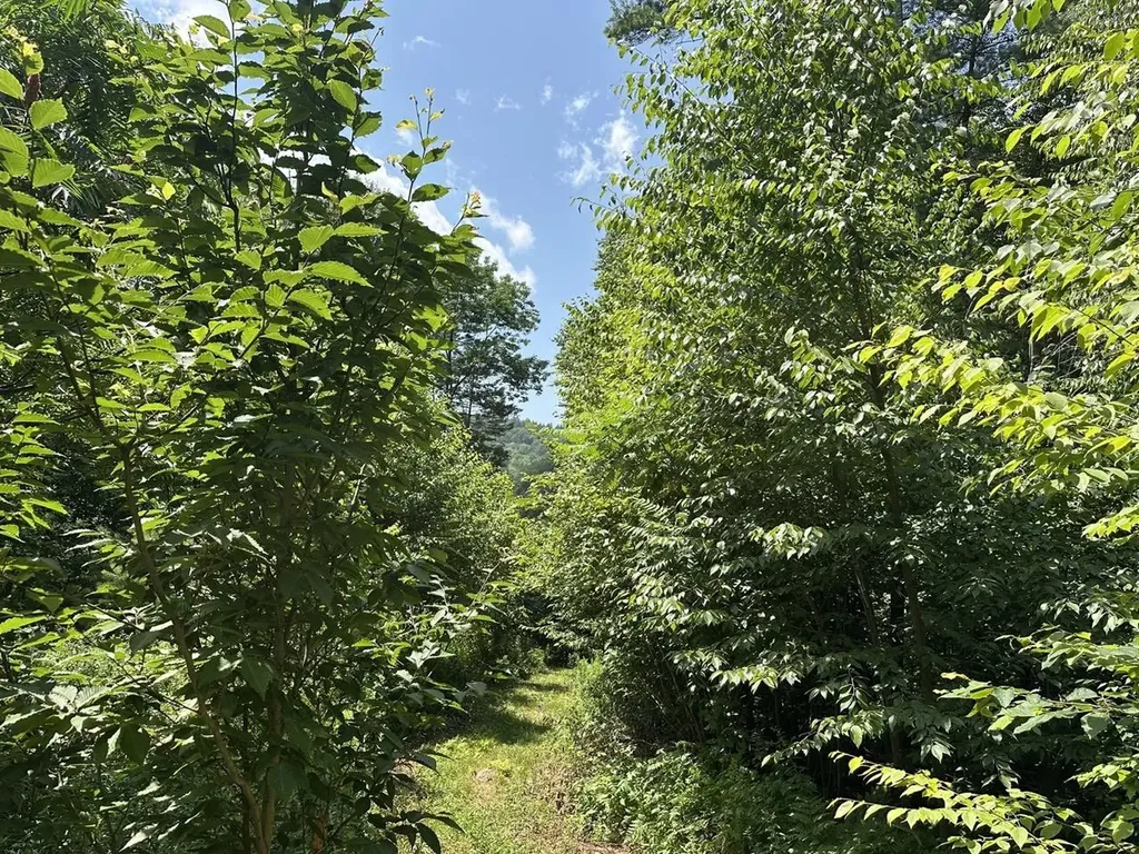 00 Vermont Route 103 Chester VT 05143