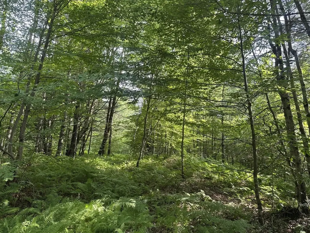 00 Vermont Route 103 Chester VT 05143