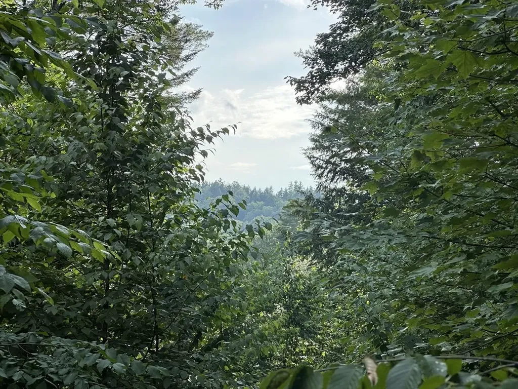 00 Vermont Route 103 Chester VT 05143