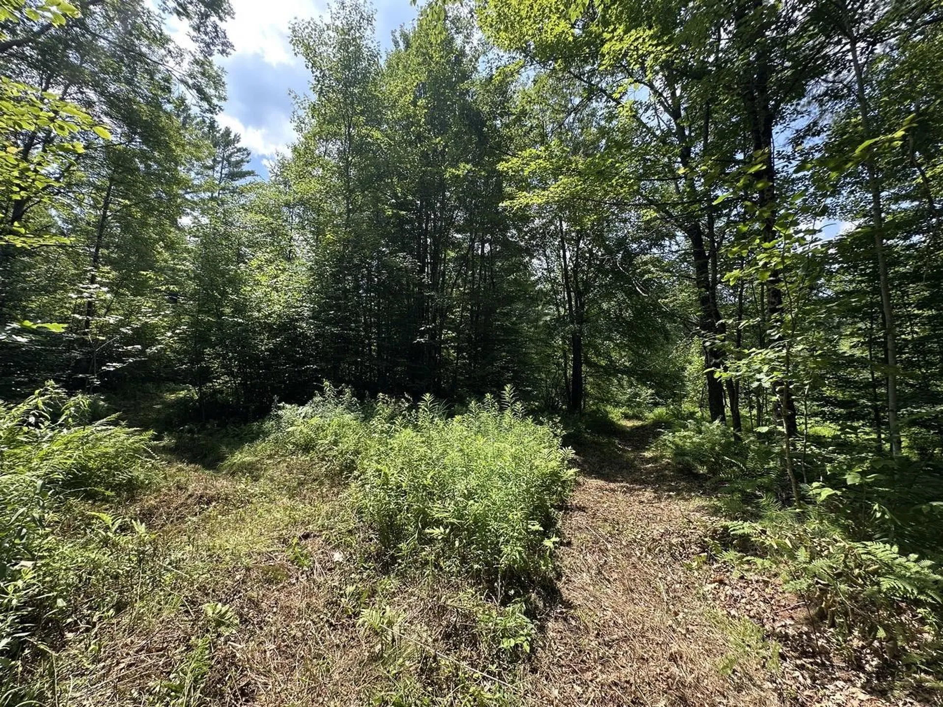 00 Vermont Route 103 Chester VT 05143