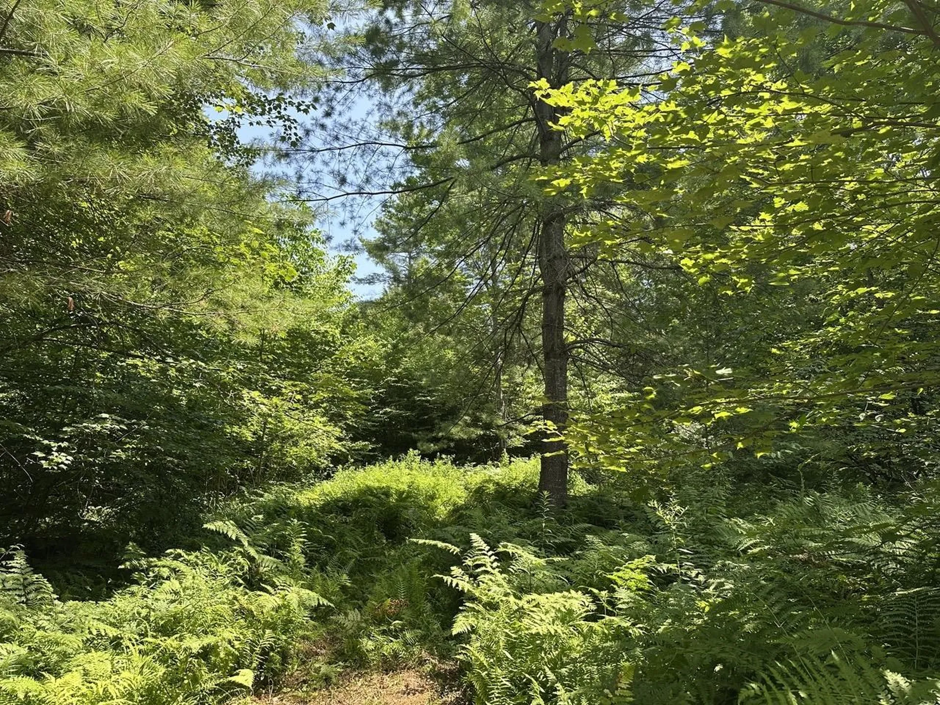 00 Vermont Route 103 Chester VT 05143