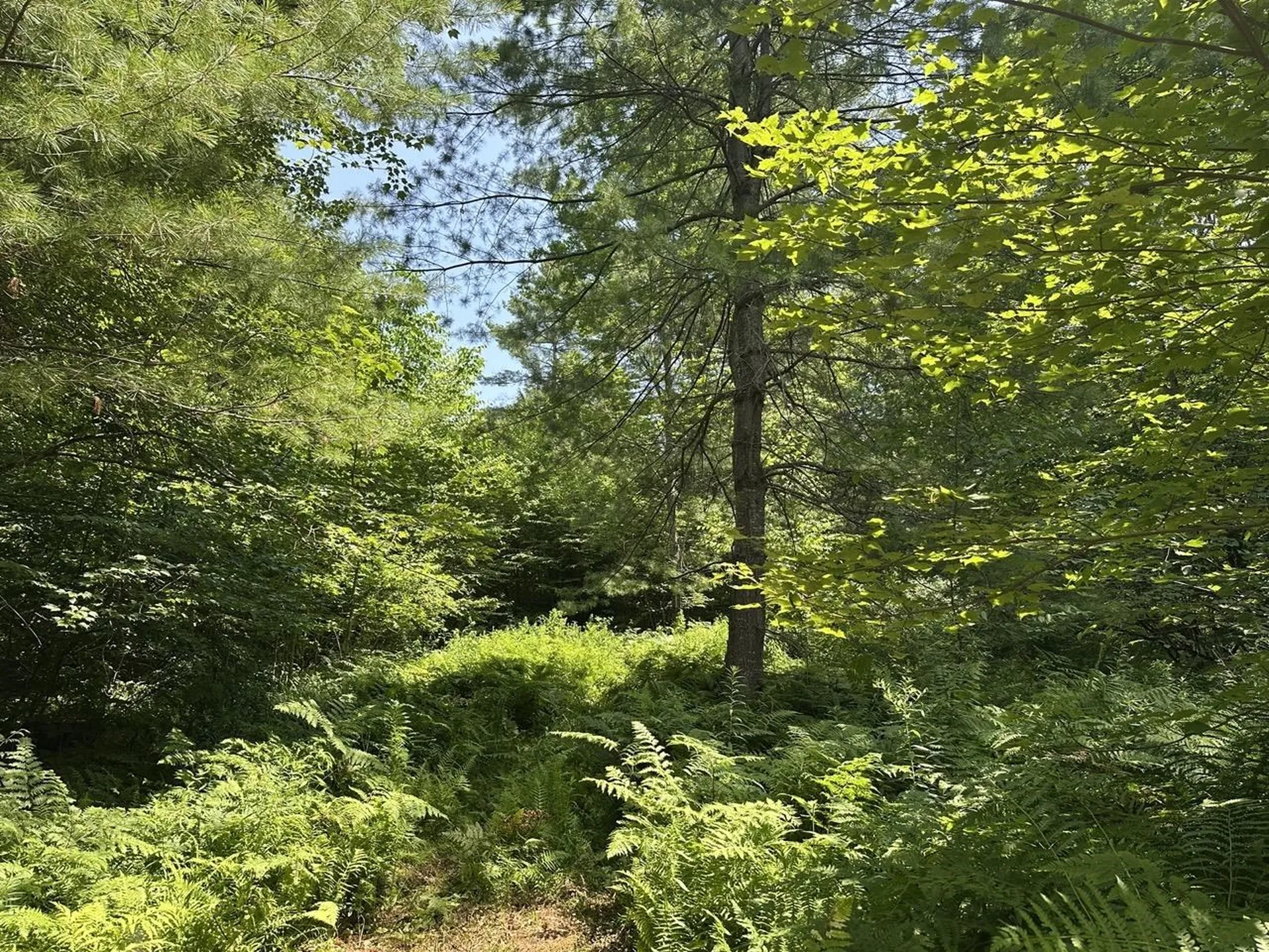 00 Vermont Route 103 Chester VT 05143