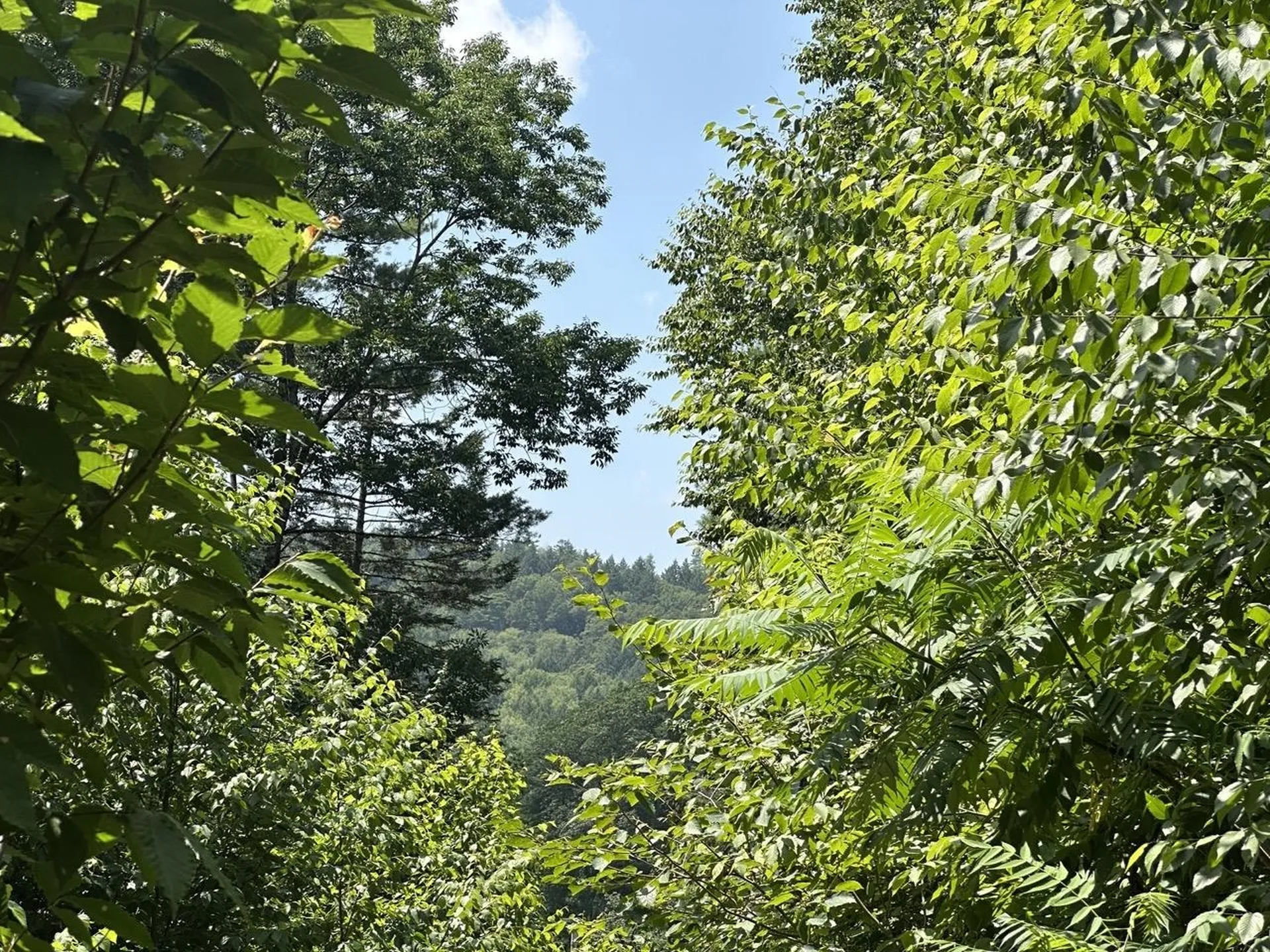 00 Vermont Route 103 Chester VT 05143