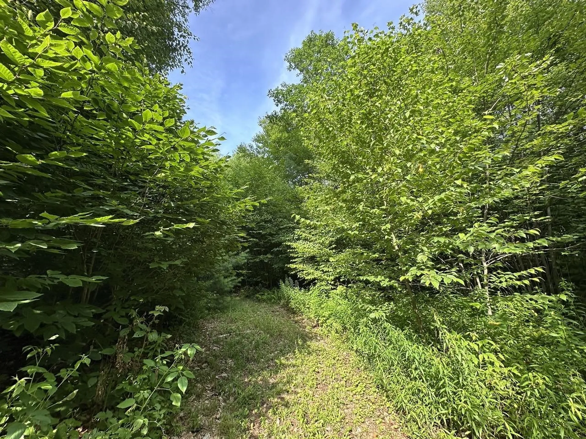 00 Vermont Route 103 Chester VT 05143