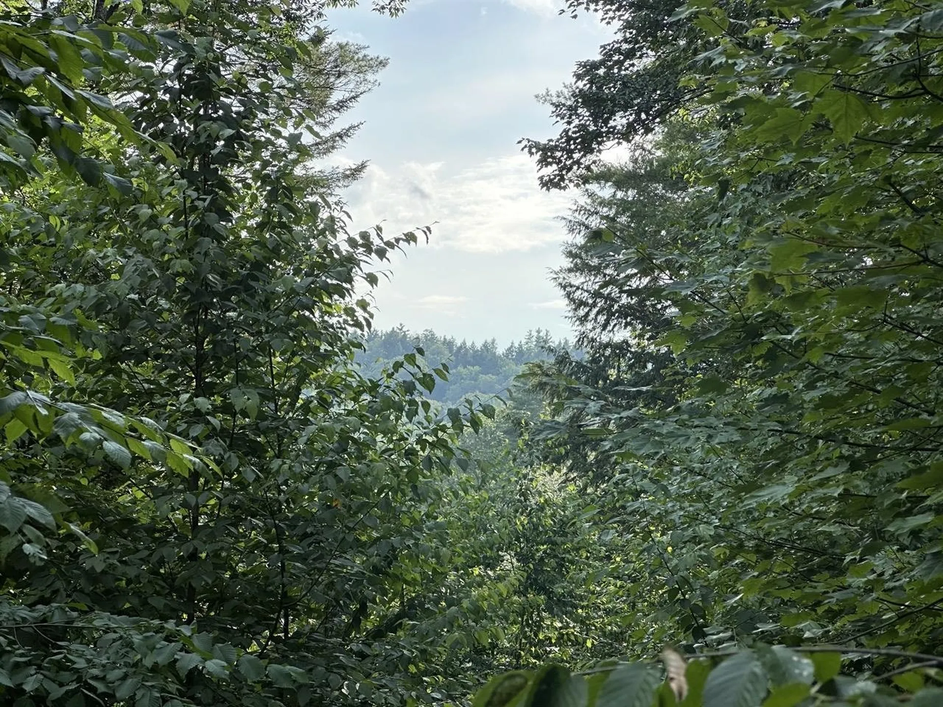 00 Vermont Route 103 Chester VT 05143