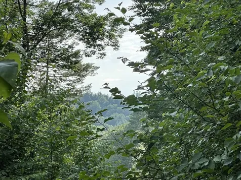 00 Vermont Route 103 Chester VT 05143