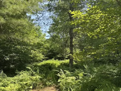 00 Vermont Route 103 Chester VT 05143