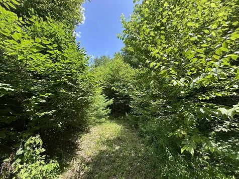 00 Vermont Route 103 Chester VT 05143