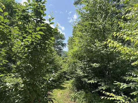 00 Vermont Route 103 Chester VT 05143