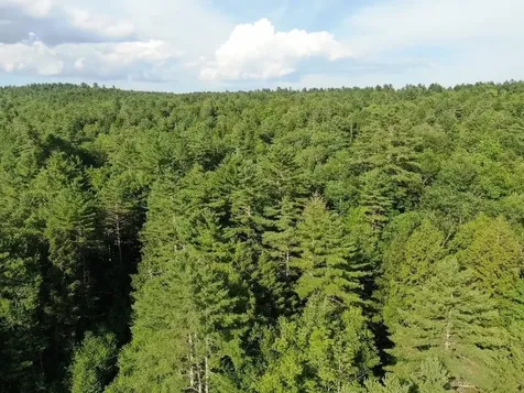 00 Vermont Route 103 Chester VT 05143