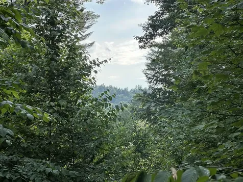 00 Vermont Route 103 Chester VT 05143