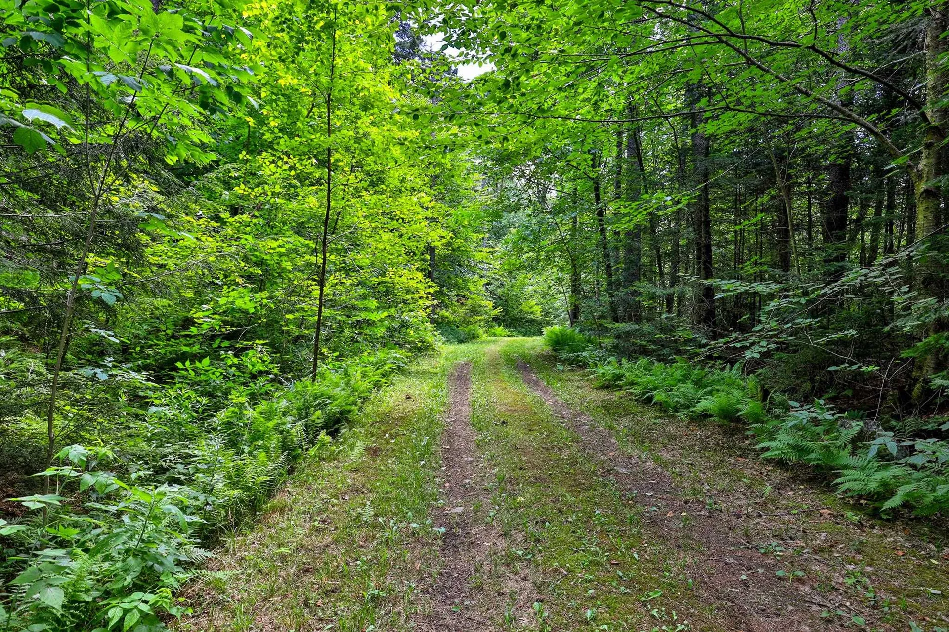 96 Tabor Road Shrewsbury VT 05738