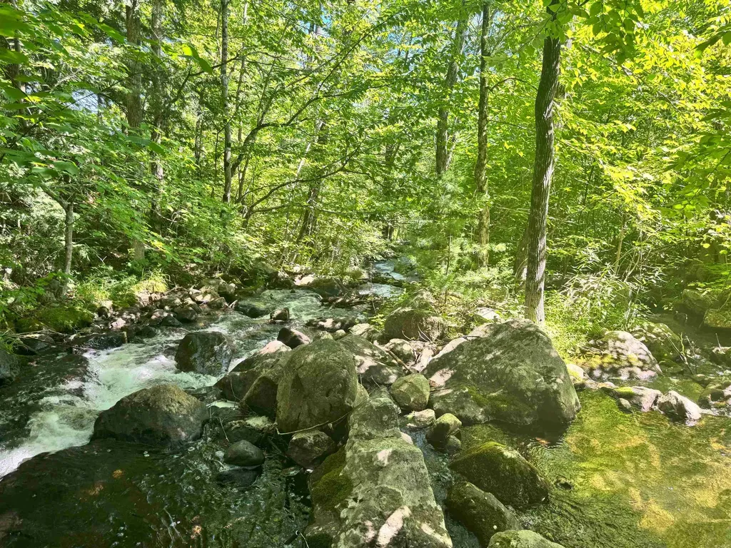 348 Percy Road Stark NH 03582