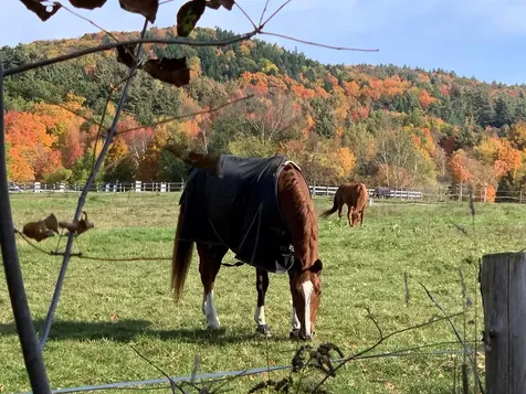 485 Browns Trace Jericho VT 05465