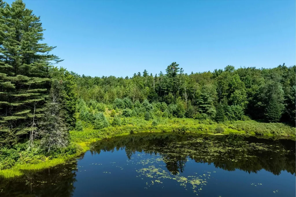 188 Cedar Lane Peru VT 05152