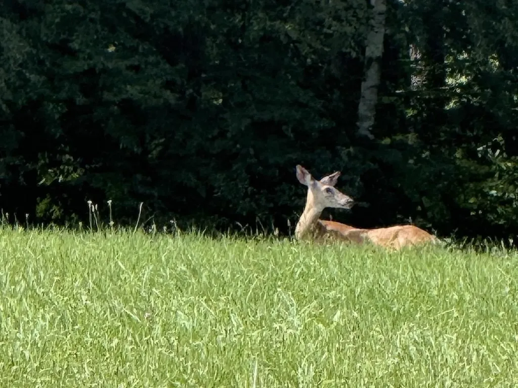 219 Gilmore Pond Road Jaffrey NH 03452