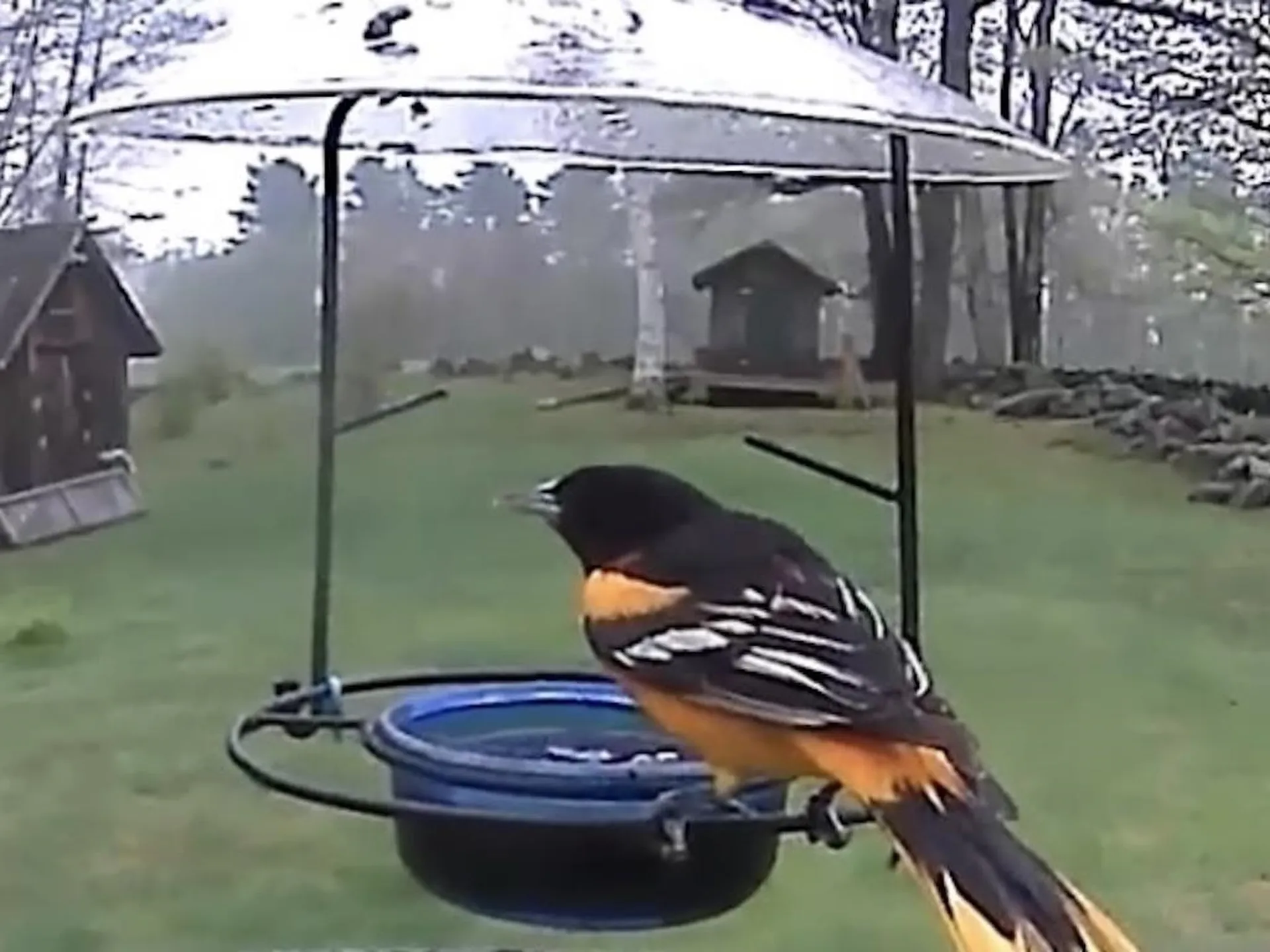 219 Gilmore Pond Road Jaffrey NH 03452