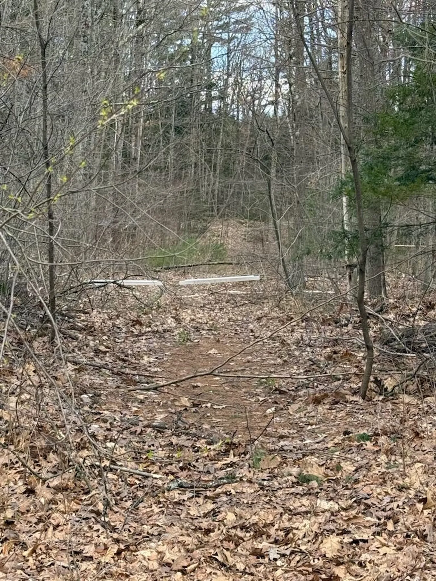 0 Deer Run Milton VT 05468