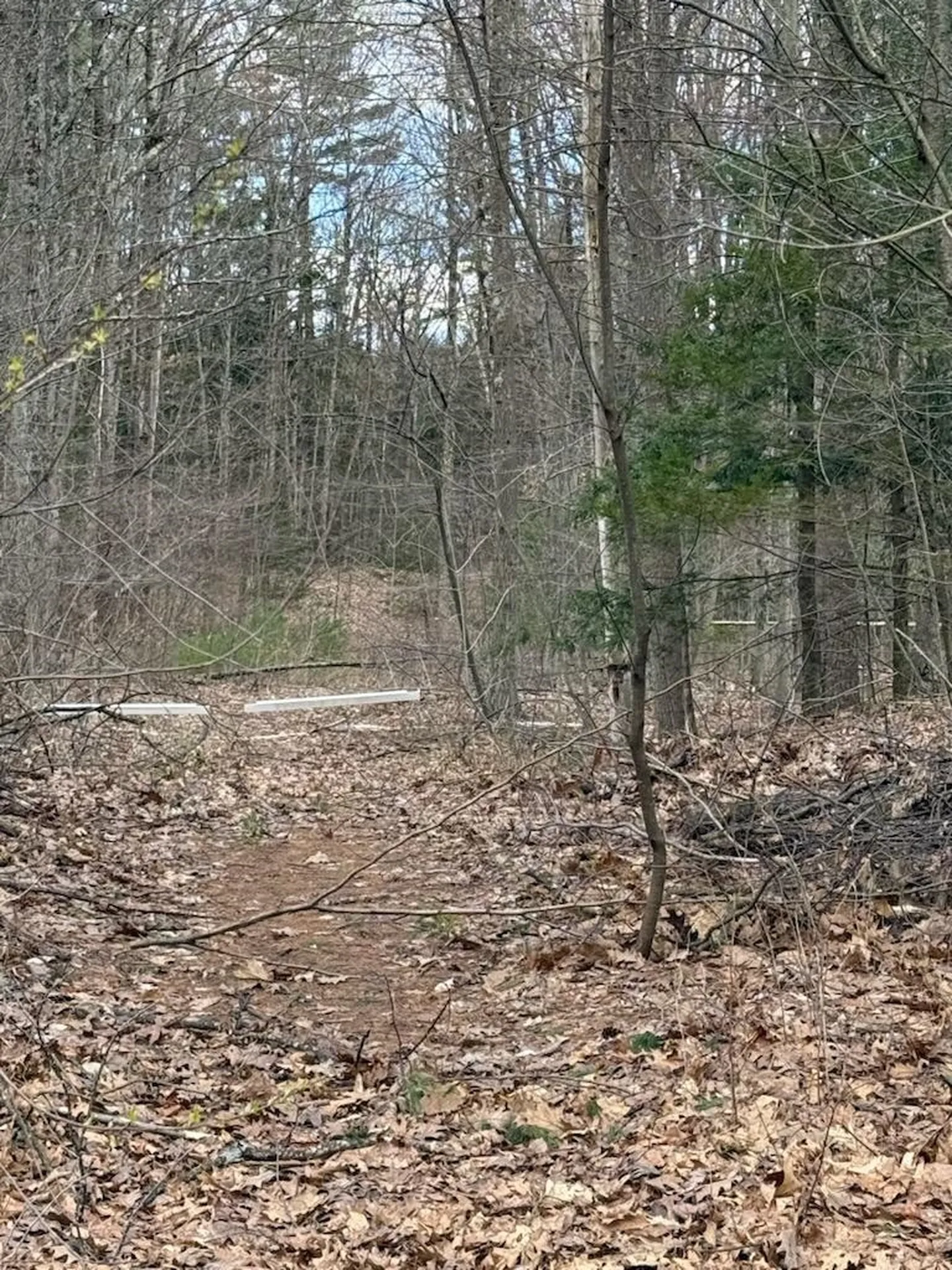 0 Deer Run Milton VT 05468