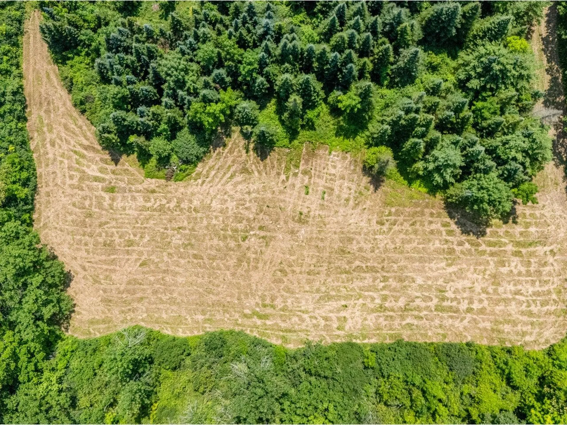 7 Zoe Lane Charlotte VT 05445