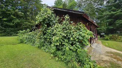 34 Fox Chair Terrace Springfield VT 05156