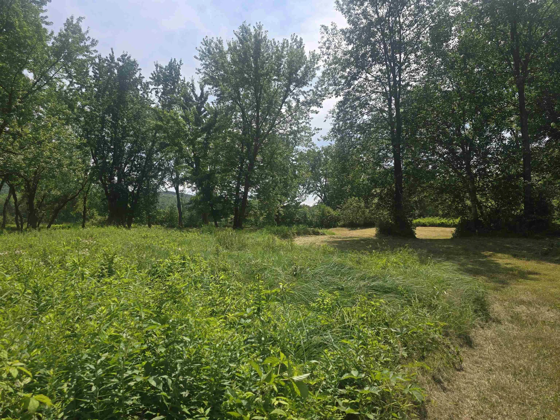 00 Braggs Bay Off Errol NH 03579