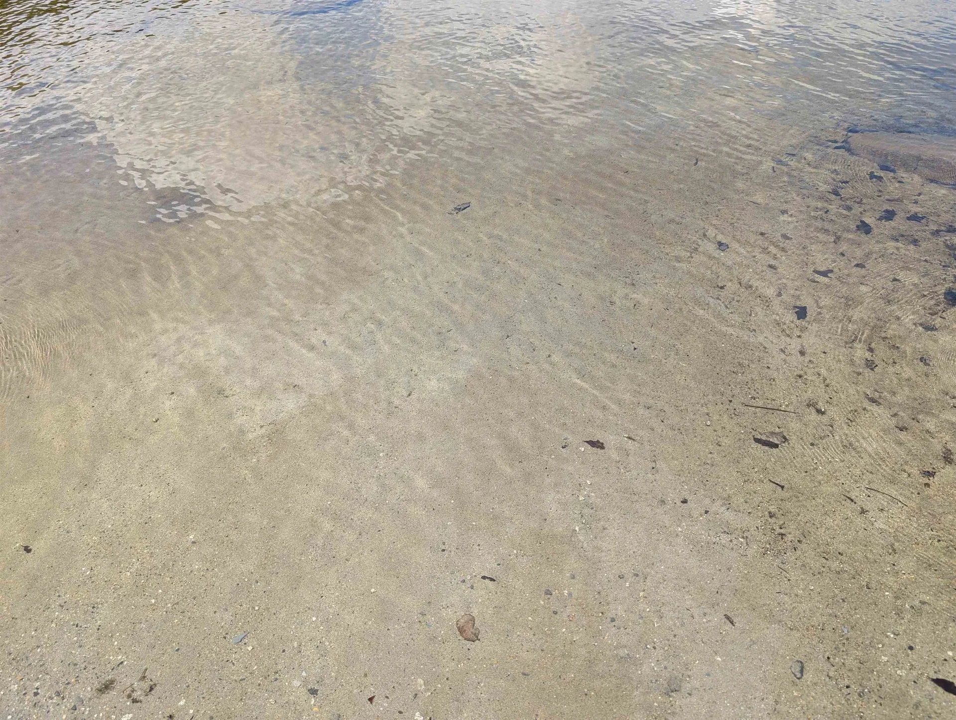 63 Bradley Road Averill VT 05901