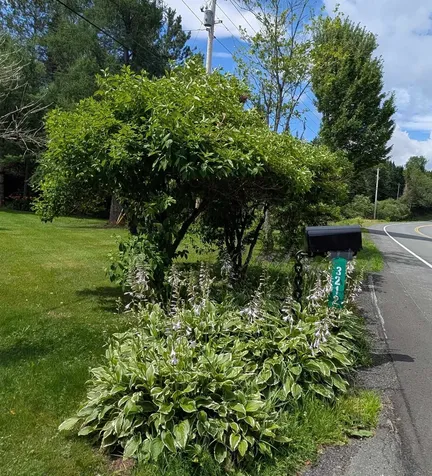 3212 Vt Route 114 E Norton VT 05907