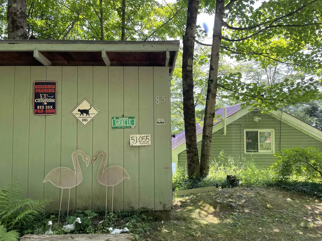 85 Upper Herricks Cove Road Woodbury VT 05681