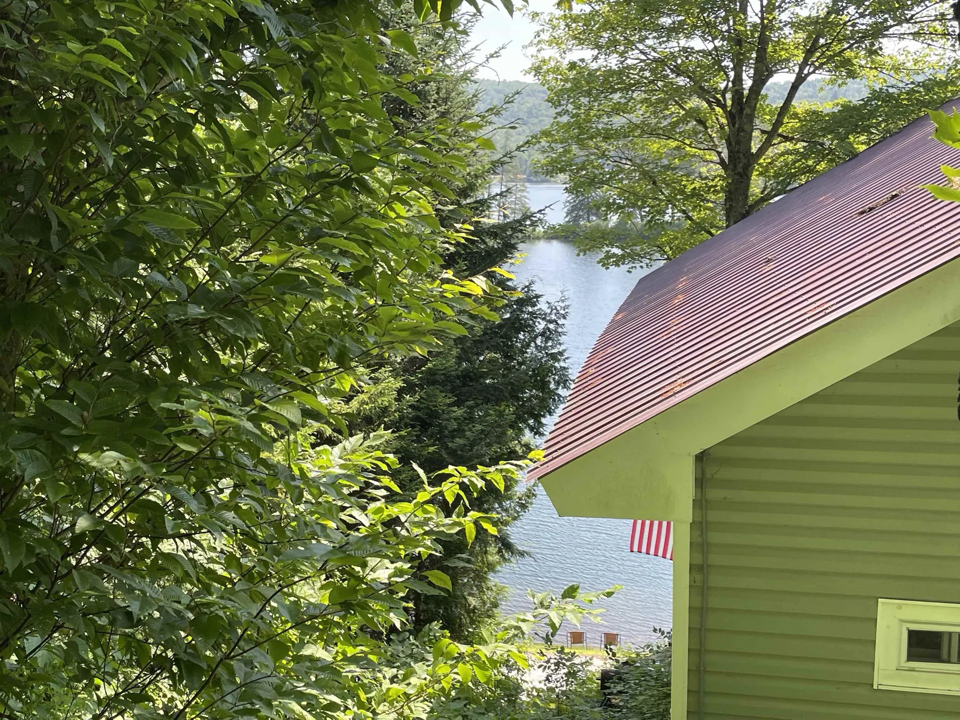 85 Upper Herricks Cove Road Woodbury VT 05681