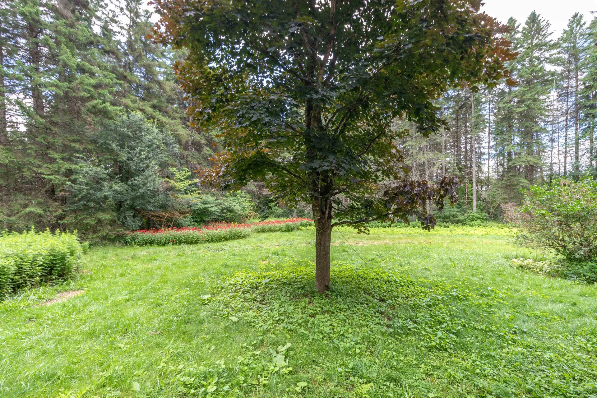 60 Chocolate Moose Lane Lyndon VT 05851