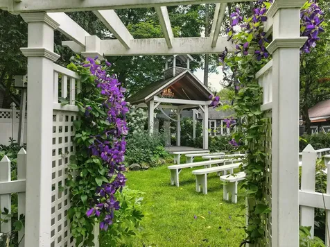 195 Main Street Montgomery VT 05471